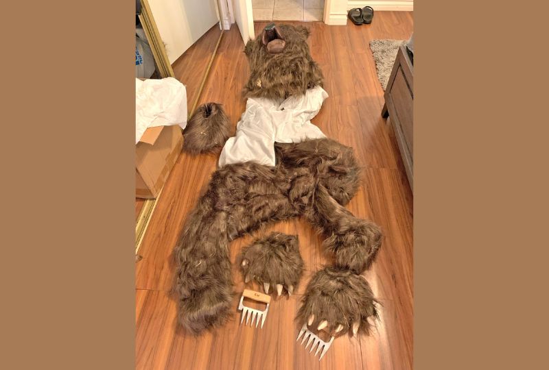 Three men jailed over ‘bear costume’ insurance fraud in California